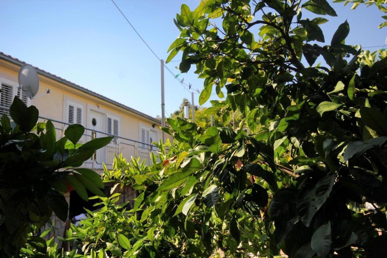 Guesthouse Gradina Lovište Екстериор снимка